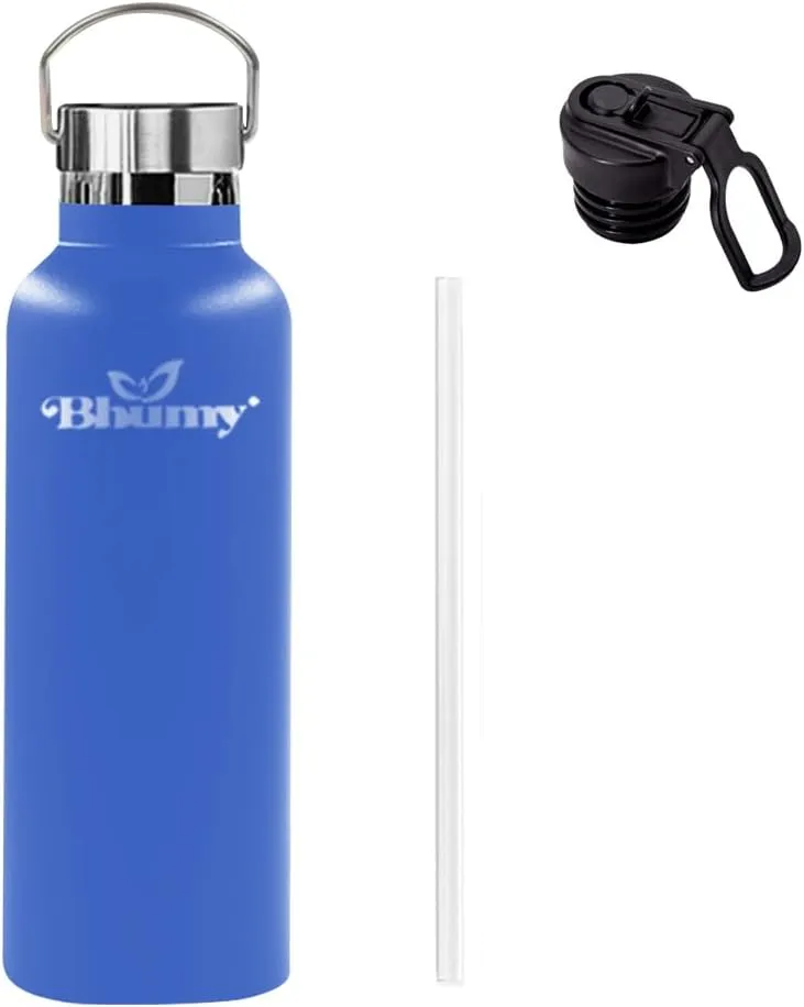 Stainless Steel Water Bottles – 22oz Double Wall Stainless Steel Insulated Water Bottle – Water Bottle with Straw and 2 Caps – Leakproof Sports Water Bottle for Gym, Office, Travel