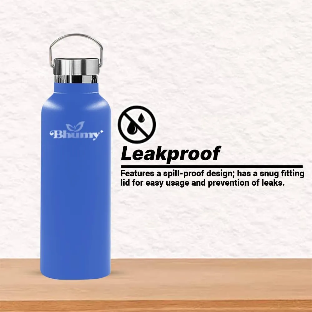 Stainless Steel Water Bottles – 22oz Double Wall Stainless Steel Insulated Water Bottle – Water Bottle with Straw and 2 Caps – Leakproof Sports Water Bottle for Gym, Office, Travel
