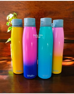 Steel Insulated 750 ml Bottles