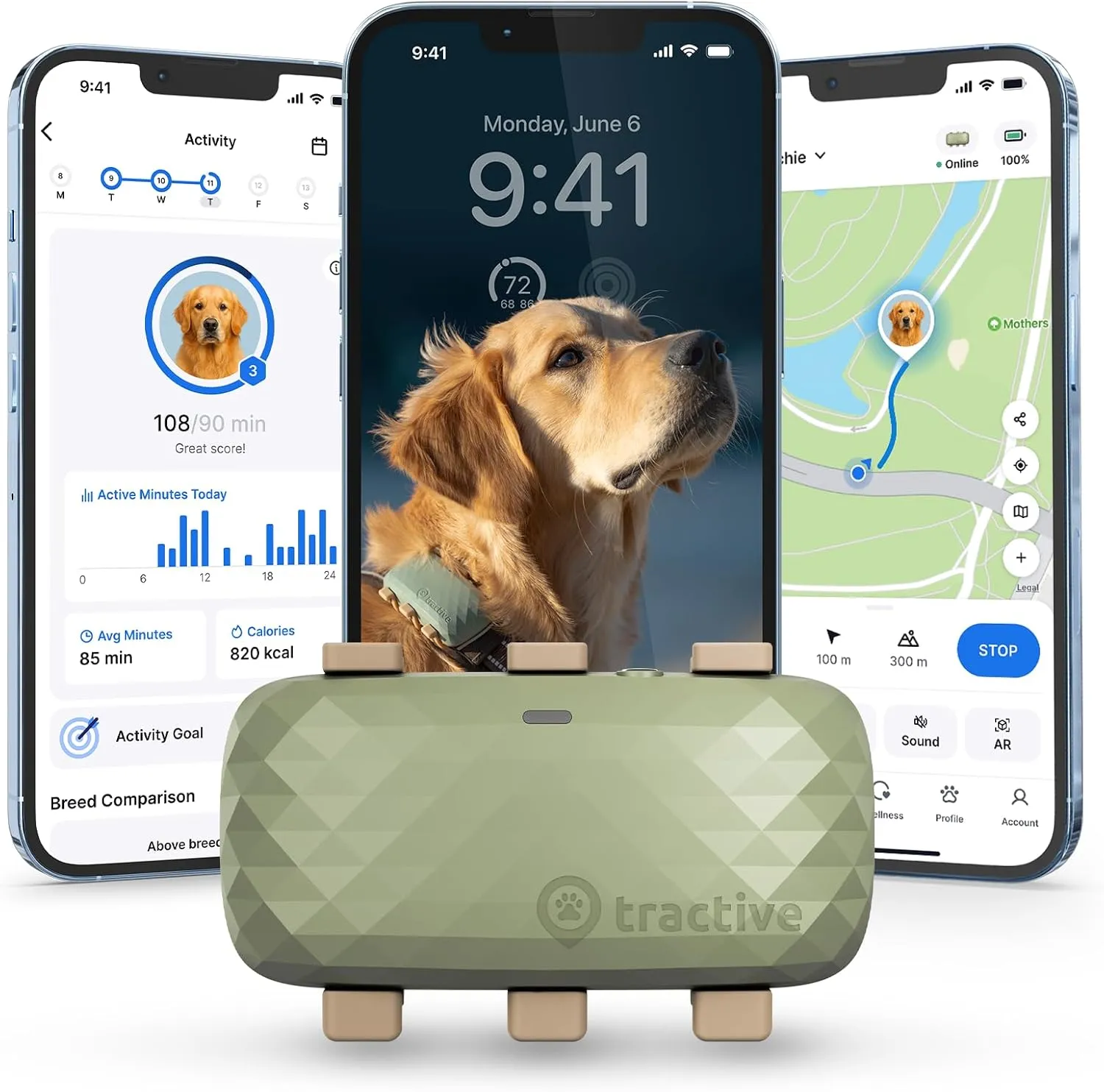 Tractive XL GPS Dog Tracker (50 lbs ) | Real-time Pet Location Tracker | Health & Wellness Alerts | Virtual Fence for Dogs | Dog Collar Attachment (Green)