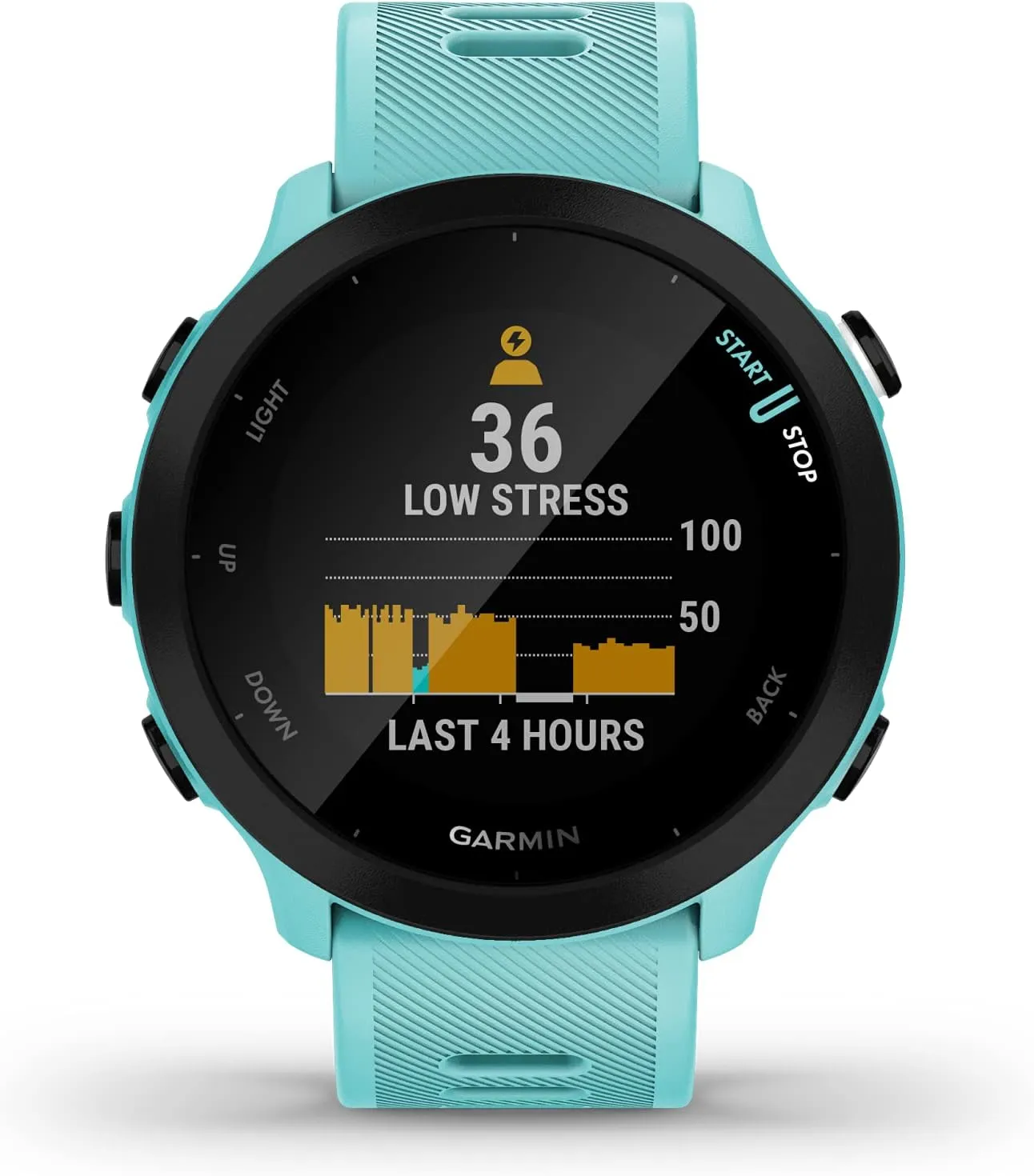 Wearable4U Garmin Forerunner 55 GPS Running 42 mm Watch with Daily Suggested Workouts, Aqua Power Pack Bundle