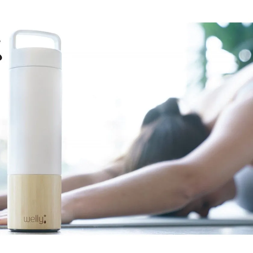 Welly Traveler Water Bottle - 18oz