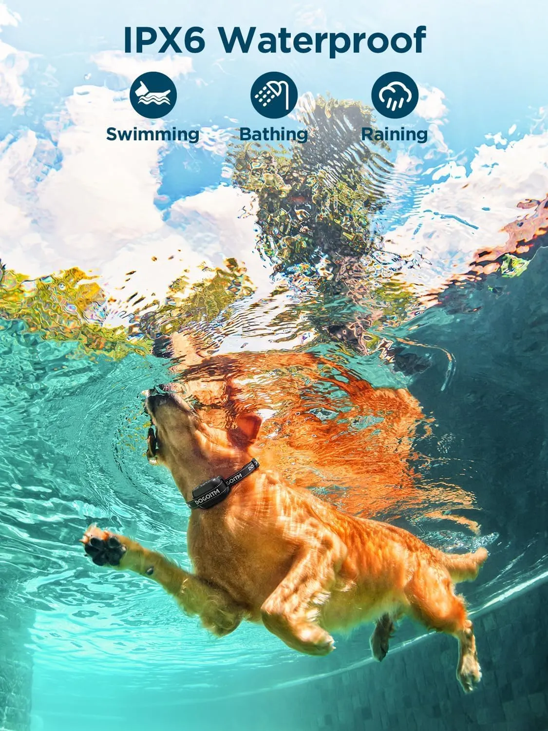 Wireless Dog Fence for 2 Dogs, Pet Containment System with AI Smart GPS Signal for Outdoor, Waterproof and Rechargeable Dog Collar Fence with 3 Warning Modes, Range 65-3290 FT for Most of Dogs